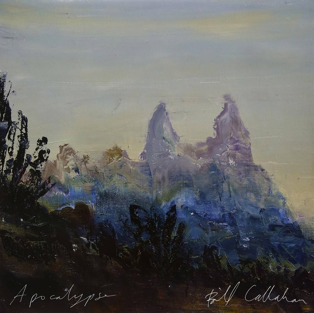 米LP Bill Callahan Dream  DC553 Drag City /00260 Bill Callahan Dream River US Vinyl LP — RareVinyl.com